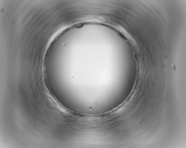 X0000087751240200705211029