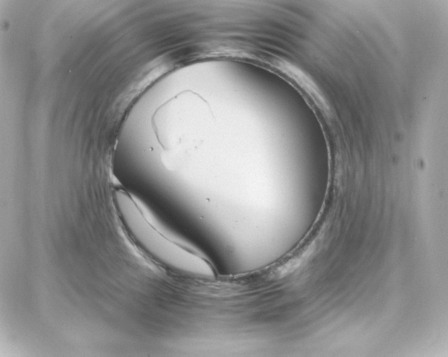 X0000087751241200705211029