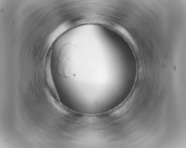 X0000087751242200705211029