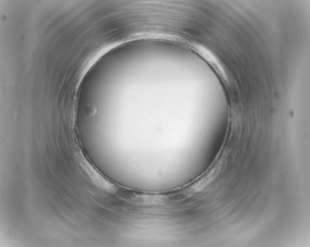 X0000087751244200705211029