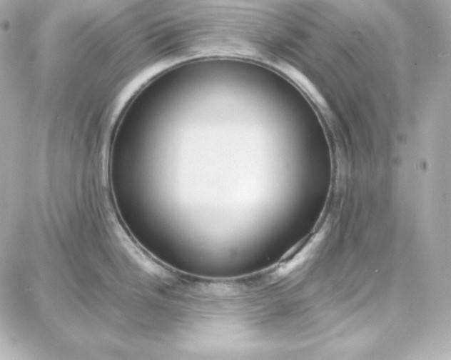 X0000087751246200705211029