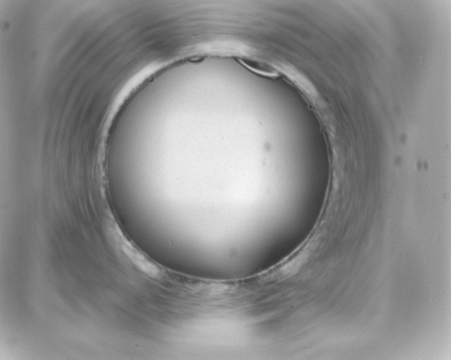 X0000087751248200705211029