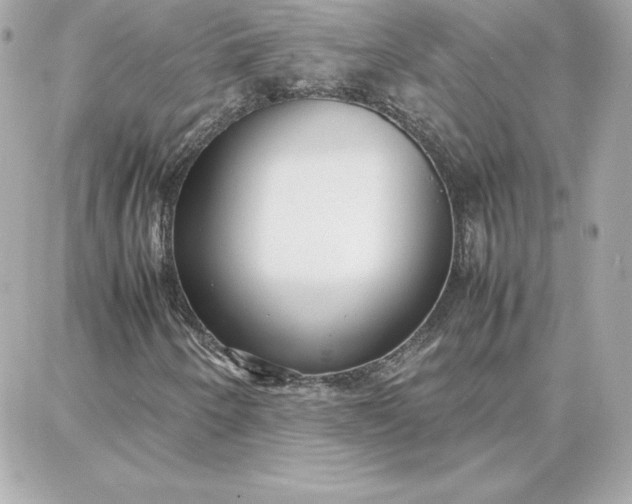 X0000087751250200705211028