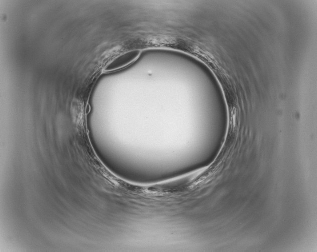 X0000087751251200705211028