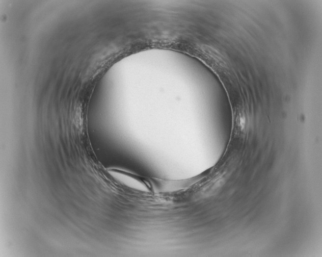 X0000087751252200705211028