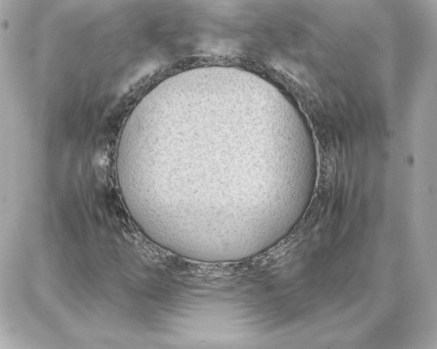 X0000087751254200705211028