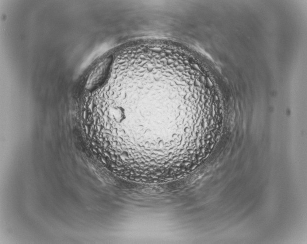 X0000087751255200705211028