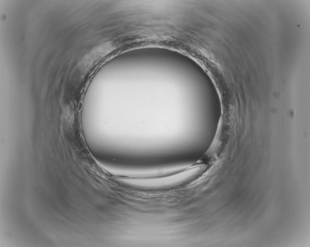 X0000087751257200705211028