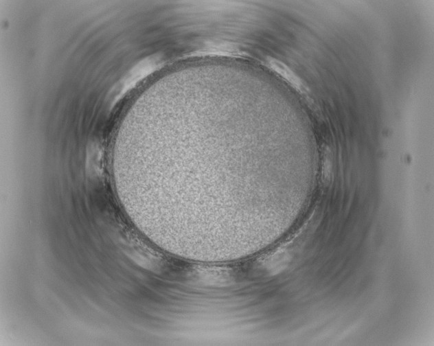 X0000087751258200705211028