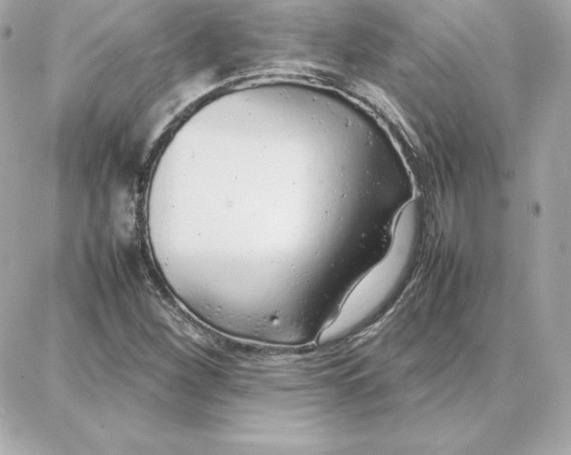 X0000087751260200705211028