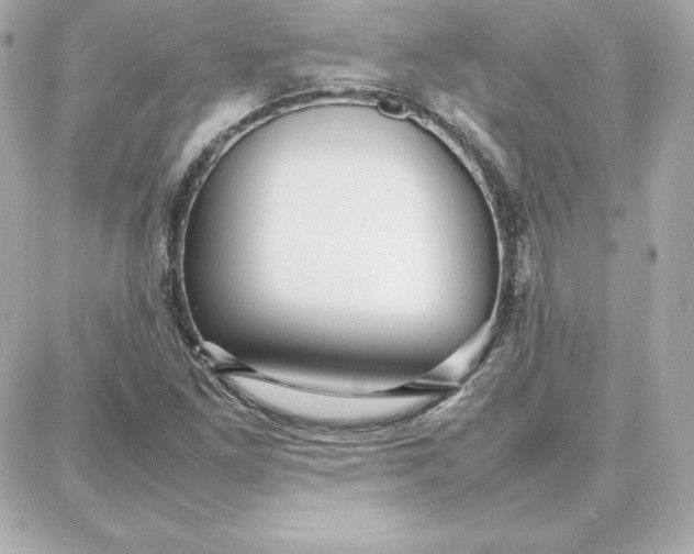 X0000087751261200705211028