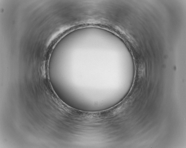 X0000087751262200705211028