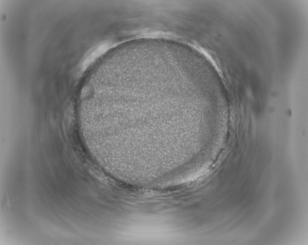 X0000087751263200705211028