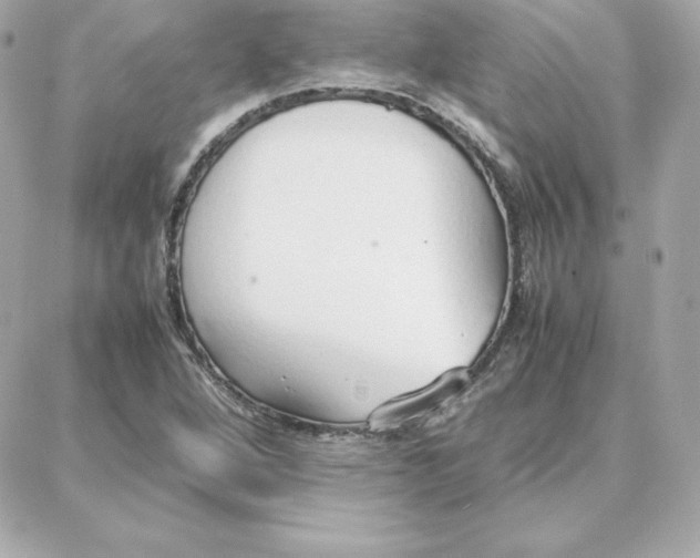 X0000087751264200705211028