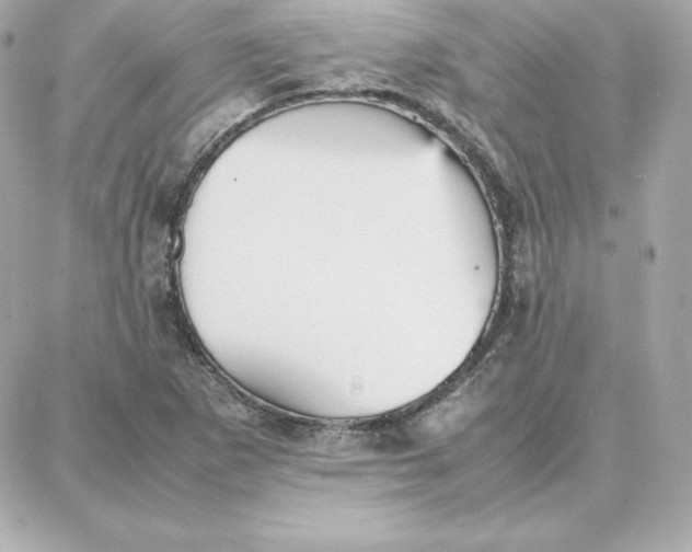 X0000087751265200705211028