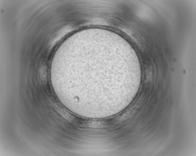 X0000087751266200705211028