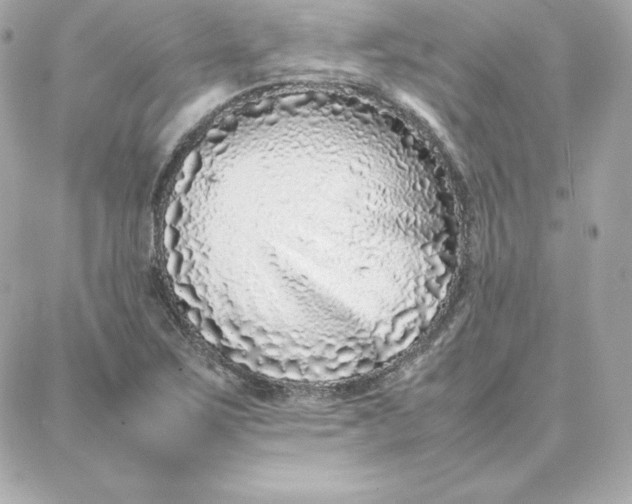 X0000087751267200705211028