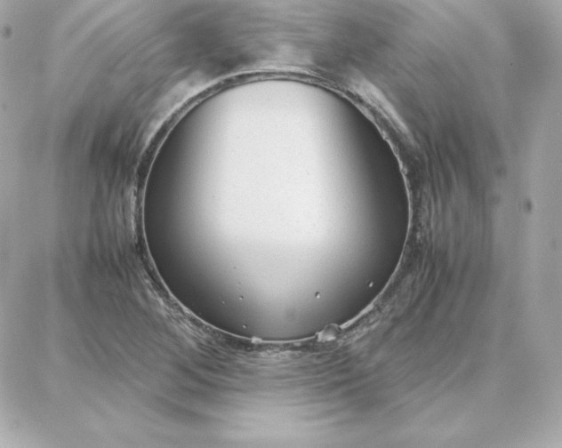 X0000087751268200705211028