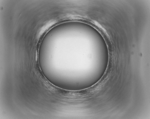 X0000087751269200705211028