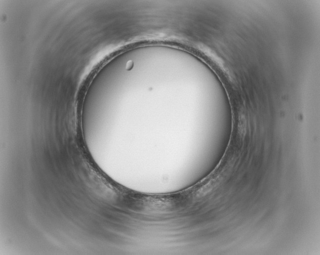 X0000087751270200705211028