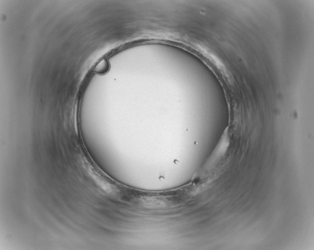 X0000087751272200705211028