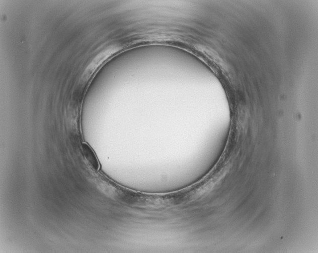 X0000087751273200705211028