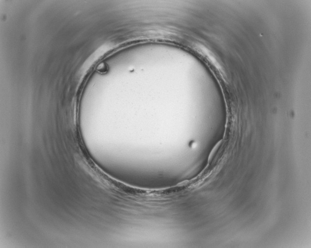 X0000087751275200705211028