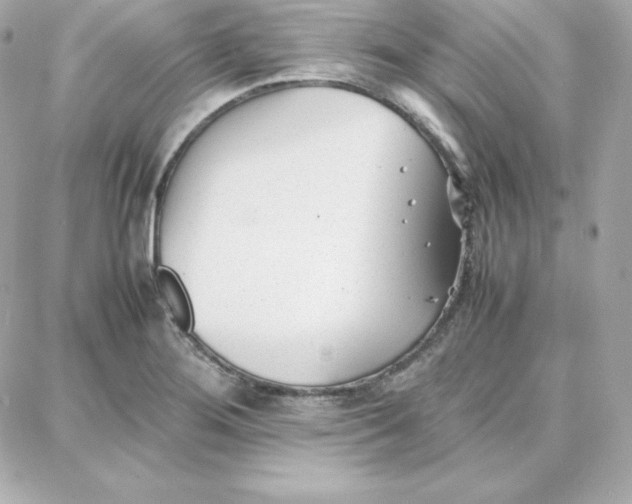 X0000087751276200705211028