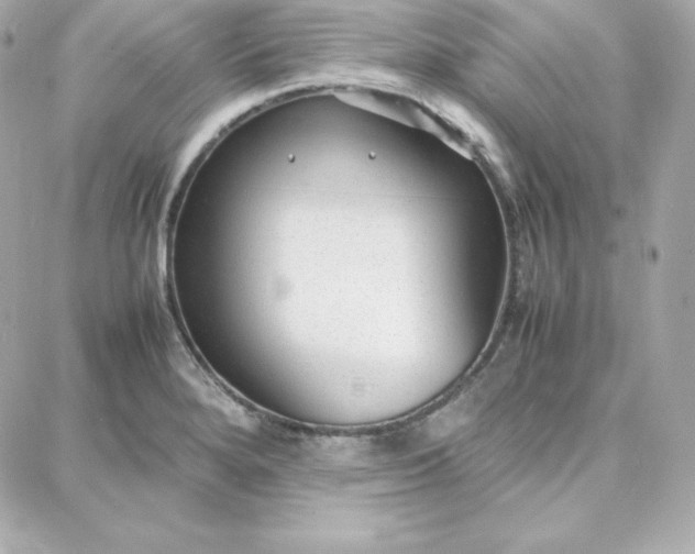 X0000087751280200705211028