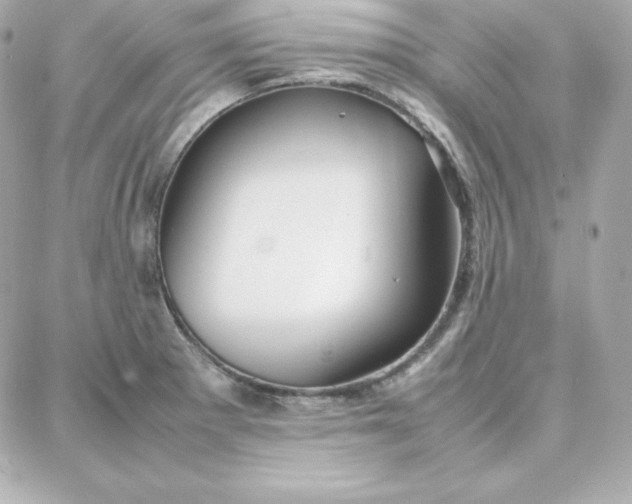 X0000087751281200705211028