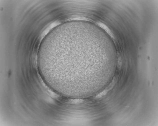 X0000087751282200705211028