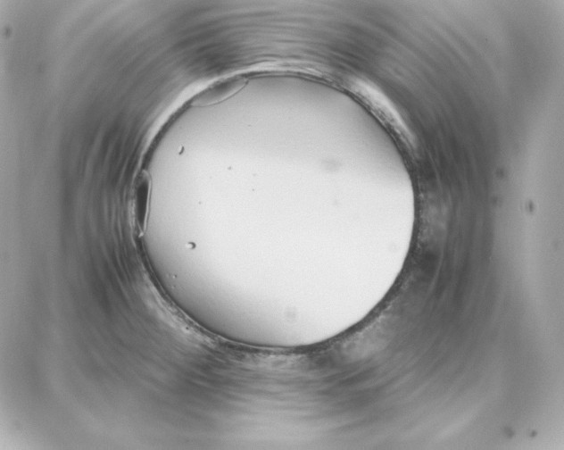 X0000087751284200705211028