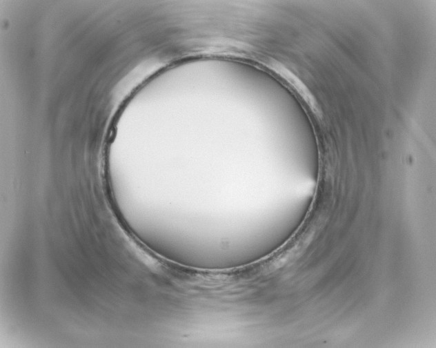 X0000087751285200705211028