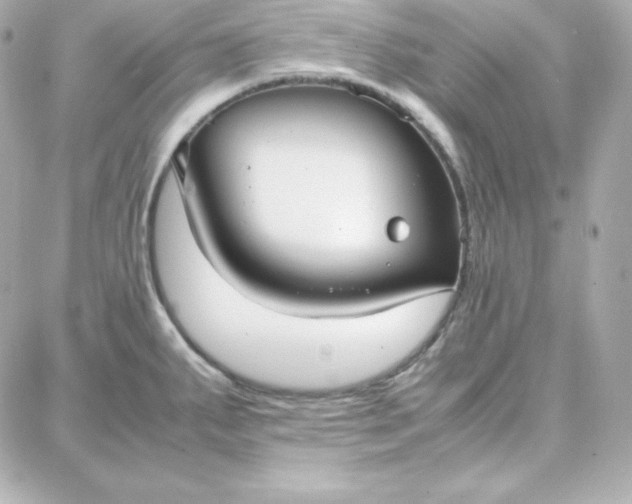 X0000087751287200705211028