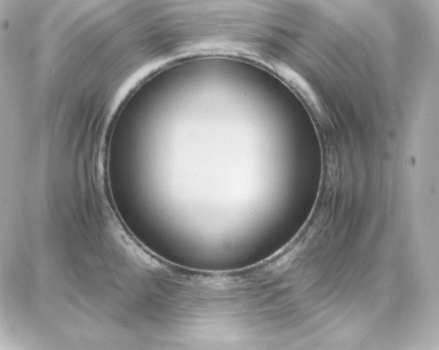 X0000087751288200705211028