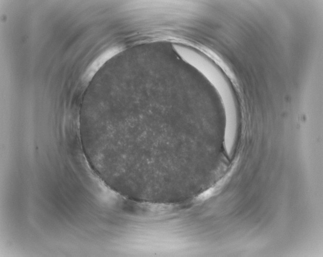 X0000087751289200705211028