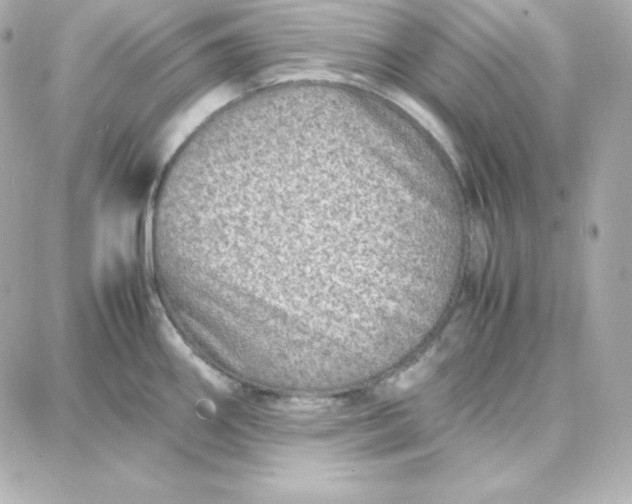 X0000087751290200705211028