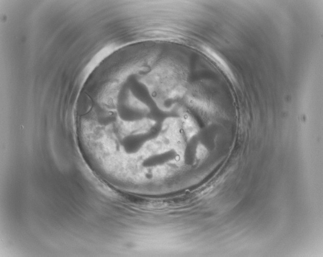 X0000087751291200705211028