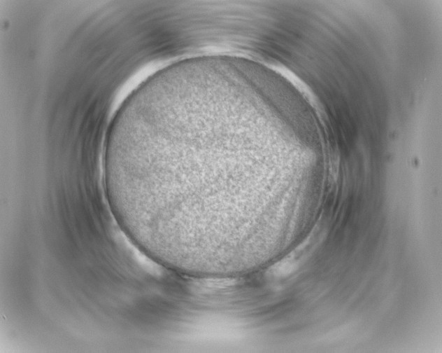 X0000087751294200705211028