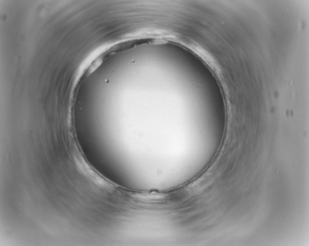 X0000087751296200705211028