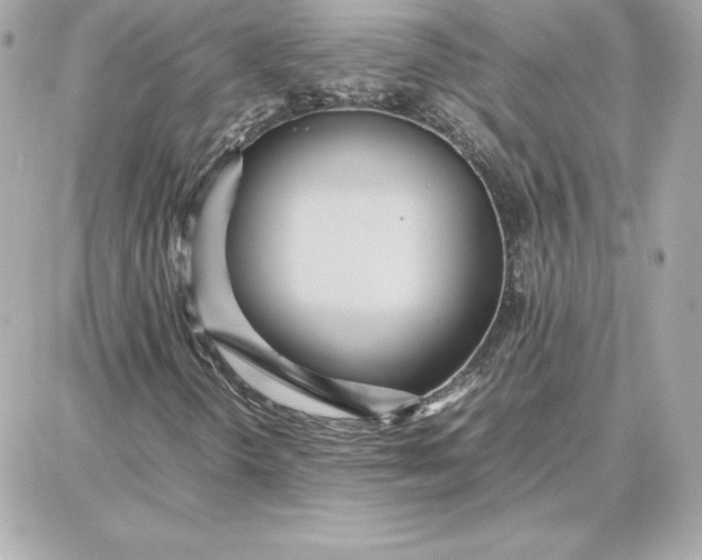 X0000087751298200705211027