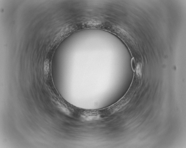 X0000087751299200705211027