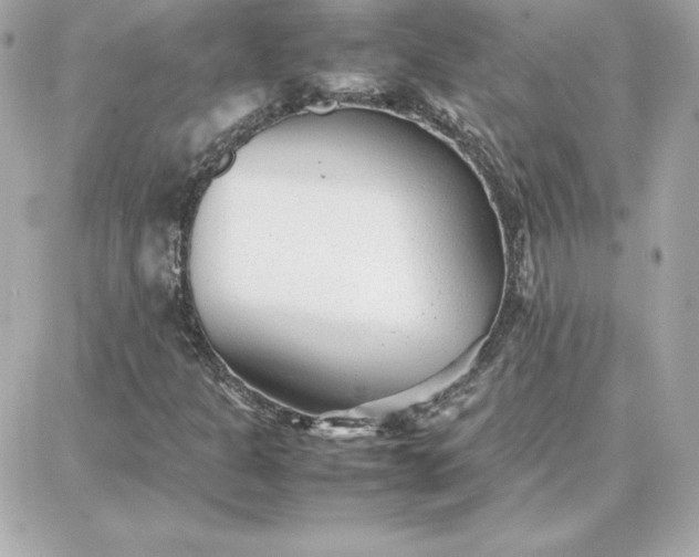 X0000087751301200705211027