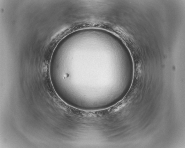 X0000087751302200705211027