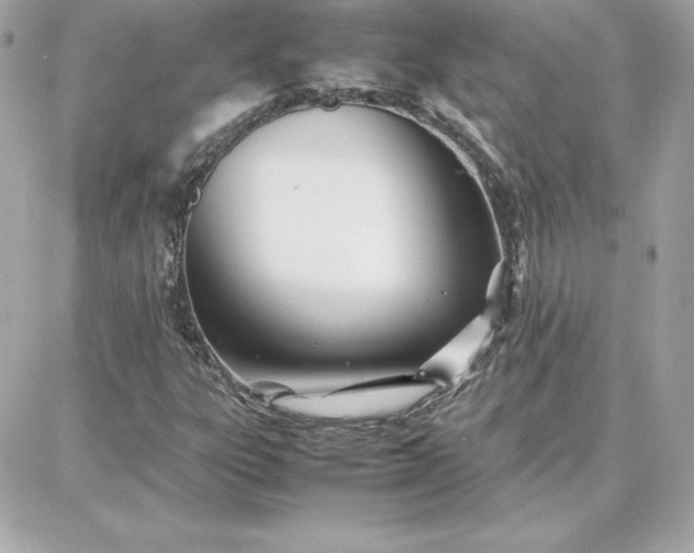 X0000087751303200705211027