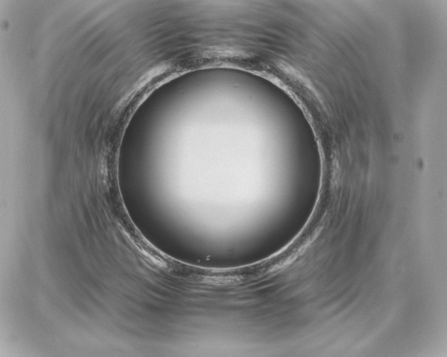 X0000087751305200705211027