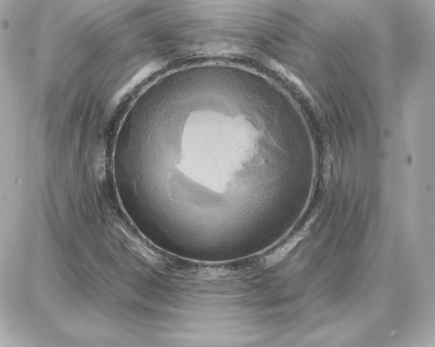 X0000087751306200705211027