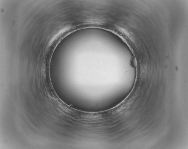 X0000087751307200705211027