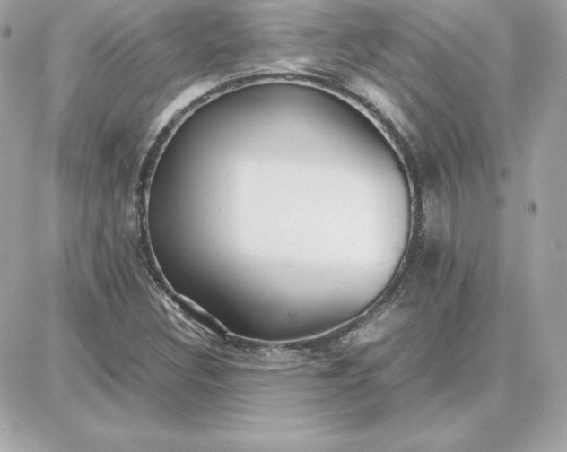 X0000087751308200705211027