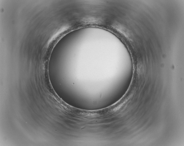 X0000087751309200705211027